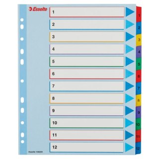 Przekładki kartonowe MYLAR A4 MAXI 1-12 ESSELTE 100209