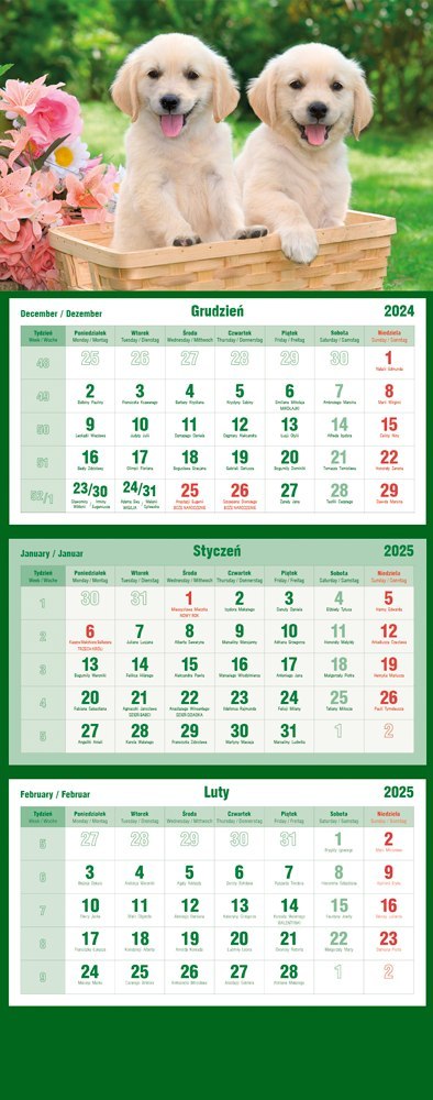 Kalendarz trójdzielny 2025 Psy Michalczyk i Prokop T-105T-09 Kalendarz trójdzielny 2025 Psy Michalczyk i Prokop T-105T-09