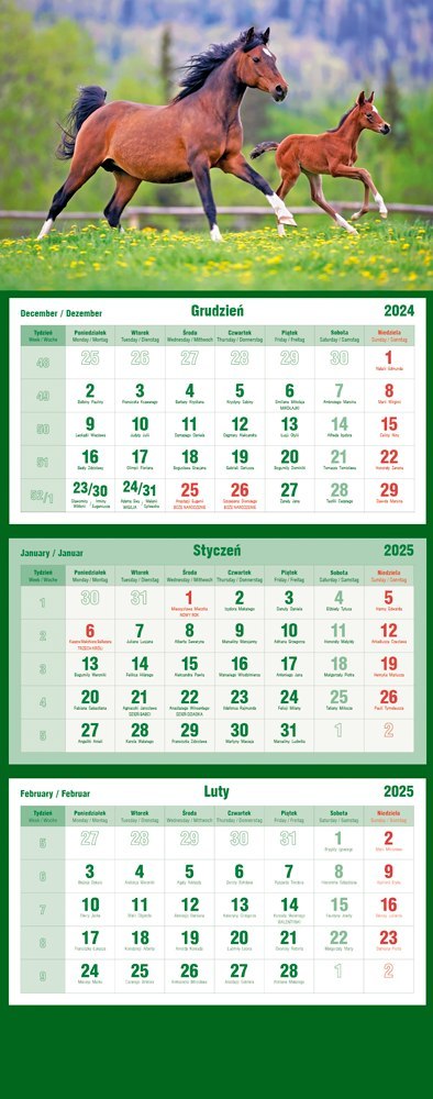 Kalendarz trójdzielny 2025 Konie Michalczyk i Prokop T-105T-11 Kalendarz trójdzielny 2025 Konie Michalczyk i Prokop T-105T-11