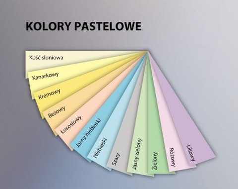 Papier xero A4 80g szaro stalowy xca41993 TROPHEE EMERSON (X) Papier xero A4 80g szaro stalowy xca41993 TROPHEE EMERSON (X)