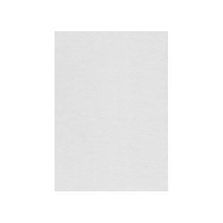 Karton wizytówkowy A4 W12 sito (20) 240g KRESKA (X) Karton wizytówkowy A4 W12 sito (20) 240g KRESKA (X)