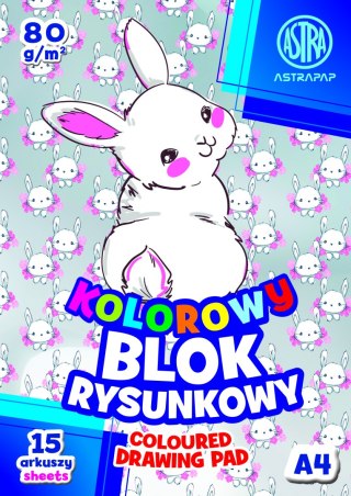 Blok kolorowy barwiony w masie ASTRAPAP A4 80g 15 ark BS&Rabbit, 106021003