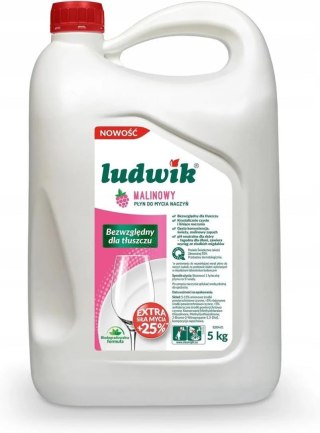 LUDWIK Płyn do naczyń 5l malinowy 30853