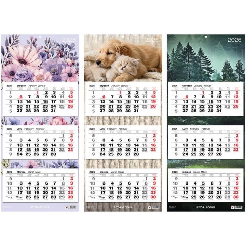 Kalendarz trojdzielny Top 2000 mix 2026 31x71cm 400204171 Kalendarz trojdzielny Top 2000 mix 2026 31x71cm 400204171