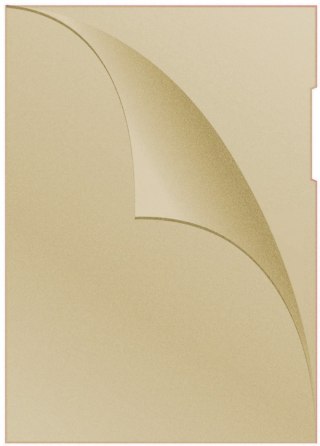 Obwoluta A4 L 120um żółta DONAU 1785095-11