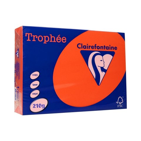 Papier xero A4 210g czerwień kardynalska TROPHEE xca42207 250 ark.