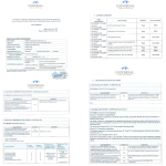 Maseczka ochronna KN95 FFP2 (25 szt.) biała GB2626-2006 - obrazek 2